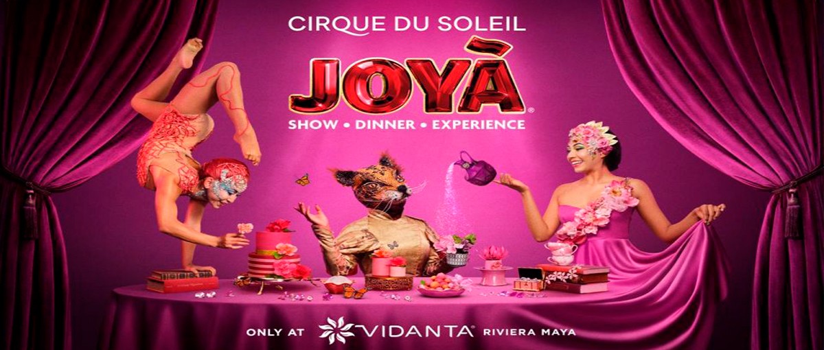Cirque Du Soleil JOY Acceso Sin Limite