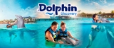 Dolphin Swim Adventure en Isla Mujeres