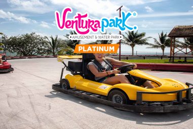 Ventura Park Platinum