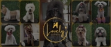 Lovely Dogs – Estética Canina