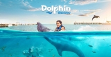Dolphin Discovery – Encuentro con delfines